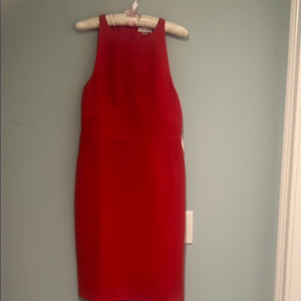 Calvin Klein Vibrant Red Dress